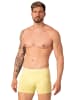 Muchachomalo 5er-Set: Boxershorts in Black/Yellow/Blue/Green/Pink