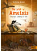 Beltz Verlag Buch - Detektiv Ameisis. Ein fast unlösbarer Fall