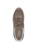 Caprice Sneaker Low in Beige