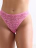 Erlich Textil  Spitzen String ICONIC LACE HIGH WAIST BRAZIL STRING in bubblegum