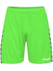 Hummel Hummel Poly Kurze Hose Hmlauthentic Multisport Herren Leichte Design Schnelltrocknend in GREEN GECKO