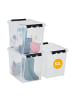 SmartStore 3er-Set Aufbewahrungsbox Classic Transparent 52L