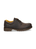 PANAMA JACK SHOES "Panama 02" in marron/brown