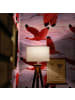 WALLPAPERS4BEGINNERS Tapete Tropische in Rosa - (W) 200 × (L) 280 cm