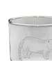Mr. & Mrs. Panda Whiskey Glas Nasenbär ohne Spruch in Transparent