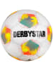 Derbystar Fußball "Club S-Light 290 V26" in Weiß