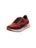 Gabor Schnürschuhe in bordo