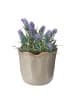 Butlers Blumenübertopf GLAZE in Beige