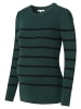 Noppies Pullover Pioche in Green gables