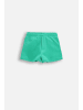 Coccodrillo Kurze Hosen in grün