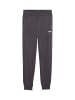 Puma Hose 'ESS 2 Colour No. 1 Logo' in grau