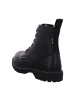 VADO  Schnürstiefel in Schwarz