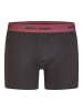 Happy Shorts Boxer Jersey in schwarz, bordeaux