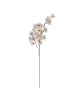 Home&Styling Collection Dekorativer Zweig in beige