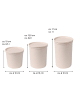 Stoneline Frischhaltedosen-Set aus rPET, 3-tlg., natur in Beige