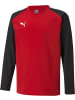 Puma Pullover "TeamLIGA Training Sweat Jr" in Rot