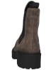 Högl Stiefelette in Taupe