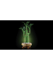 LEGO Botanical Collection Glücks-Bambus in Mehrfarbig ab 18 Jahre