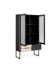 ebuy24 Vitrinenschrank Sady Schwarz 99 x 40 cm