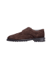 JOOP! Lace Up 'Velo Danilo Brogue in Braun'
