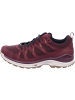 LOWA INNOX EVO II GTX Ws INNOX EVO II GTX Ws in merlot/dune