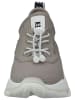 Steve Madden Sneaker in Taupe