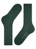 Falke Socken 1er Pack in Grün