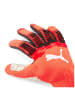 Puma Torwarthandschuh "Future Ultimate NC" in Rot