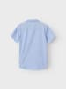name it Hemd in Campanula