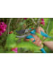 Gardena Classic Gartenschere Aktion: Baumschere mit Bypass-Schneide 8754-30