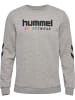 Hummel Hummel Sweatshirt Hmlrainbow Erwachsene in GREY MELANGE