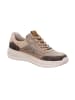 Legero Sneakers Low SPRINTER in Multicolour Beige