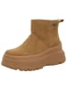 Buffalo Stiefelette in braun