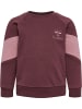 Hummel Hummel Sweatshirt Hmlkris Unisex Kinder in CATAWBA GRAPE