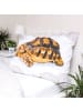JERRY FABRICS Bettwäsche Kind Schildkröte 140x200+70x90 cm Baumwolle mit Reißverschluss