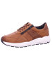 Solidus Sneaker Low in braun