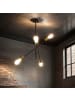 Licht-Erlebnisse Deckenlampe (B)58 x (L)58 x (H)82 cm in Schwarz Gold