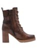 Marco Tozzi Stiefelette in COGNAC COMB