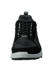 Ecco Sneaker BIOM 2.1 X MOUTAIN in black