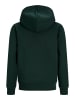 JACK & JONES Junior Kapuzenpullover in Scarab