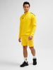Hummel Halbreißverschluss Jacke Hmlcore Erwachsene in SPORTS YELLOW