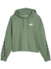 Puma Sweatshirt ESS TAPE Hoodie FL in Grün