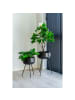 ebuy24 Kunstpflanze Monstera Grün 40 x 40 cm