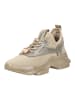 Steve Madden Sneaker in Cream