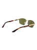 Serengeti Männer Sonnenbrille Rechtwinklig Gold