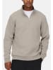 ONLY & SONS Sweattroyer Ceres in Beige / grau