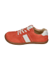 KOEL Sneaker Low DECLAN SUEDE 3.0 in orange