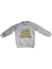 Teenage Mutant Ninja Turtles Kinder Sweatshirt in Grau
