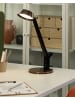 Beliani Büroleuchten CHAMAELEON in Kupfer - (W) 17 x (H) 40 x (L) 17 cm