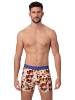 Muchachomalo 4er-Set: Boxershort in Mehrfarbig - für Herren